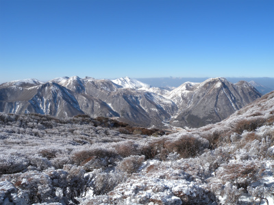 e0272335_19464083.jpg