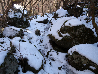 e0272335_20105539.jpg