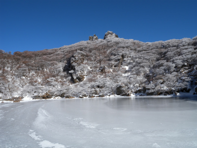 e0272335_2024222.jpg