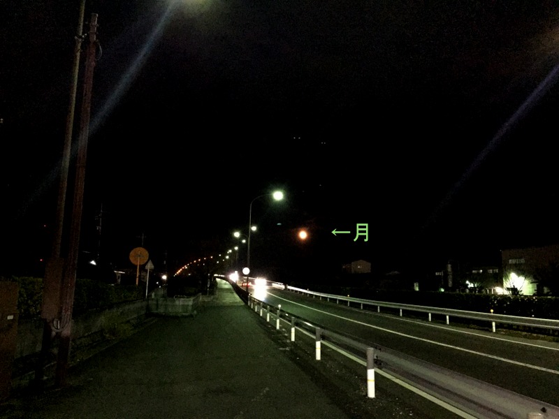 b0057140_0593939.jpg