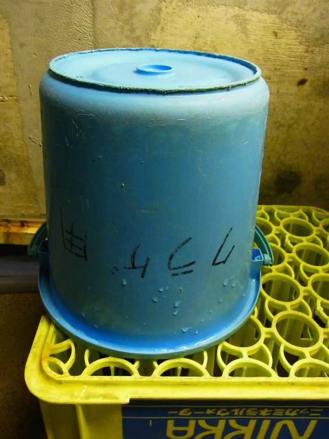 a0087341_21572365.jpg