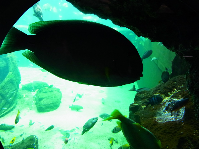 a0087341_2157650.jpg