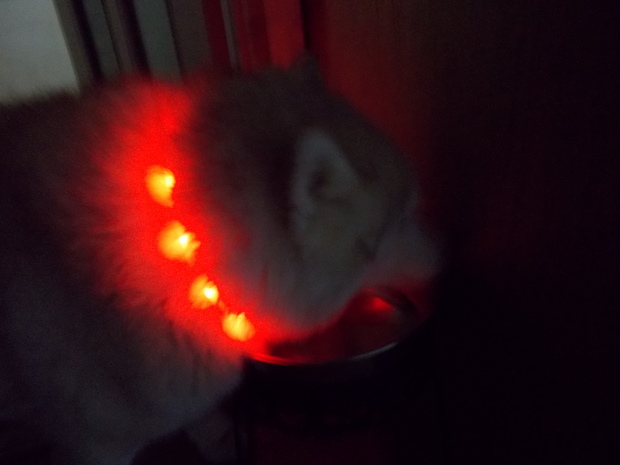 e0121548_2012451.jpg