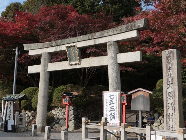 e0017051_21332353.jpg