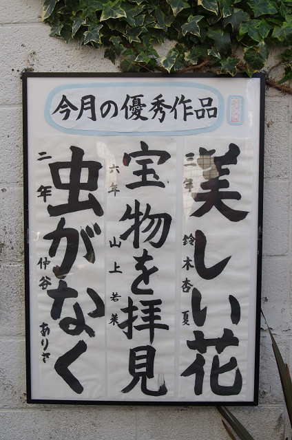 c0080357_9442278.jpg