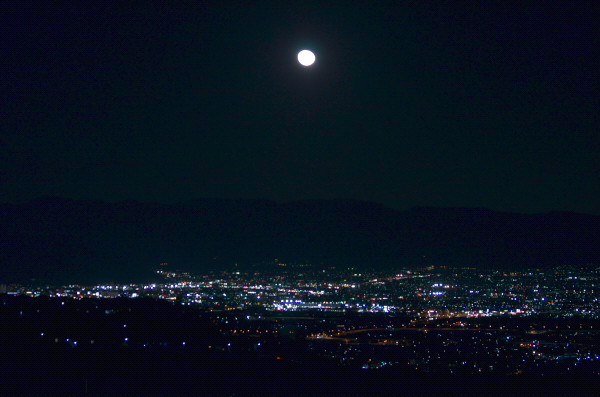 b0320758_20232247.jpg