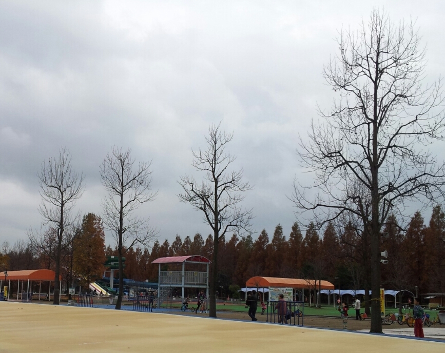 b0304662_22175427.jpg