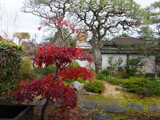 f0113862_9445739.jpg