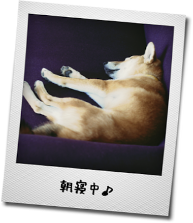 a0232774_127548.png