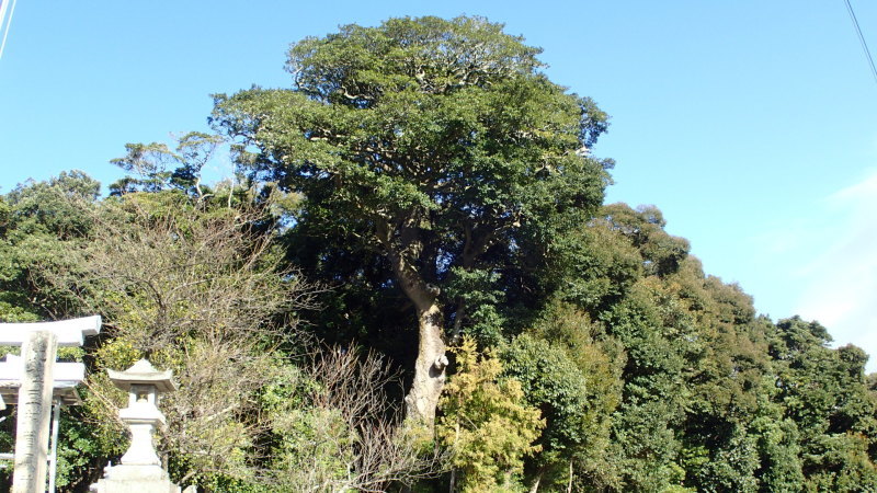e0024081_10135961.jpg