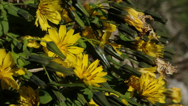 e0024081_10144966.jpg