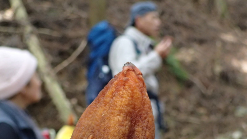 e0024081_10245914.jpg