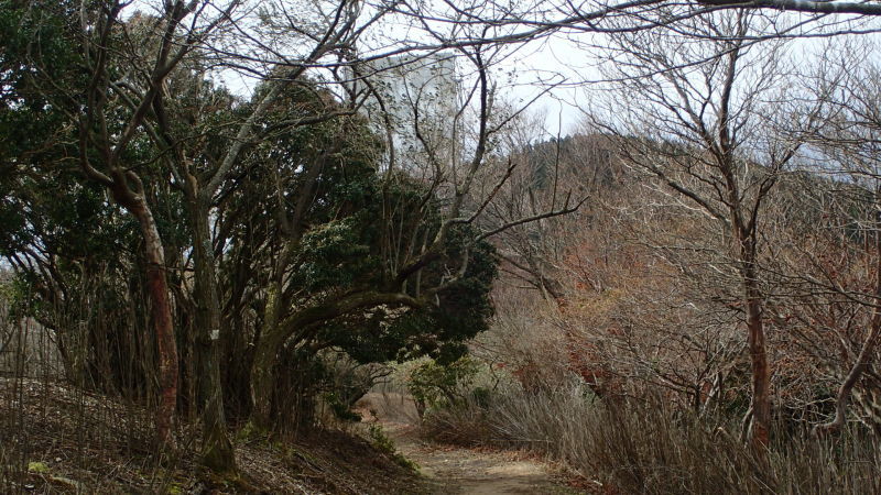 e0024081_10275004.jpg