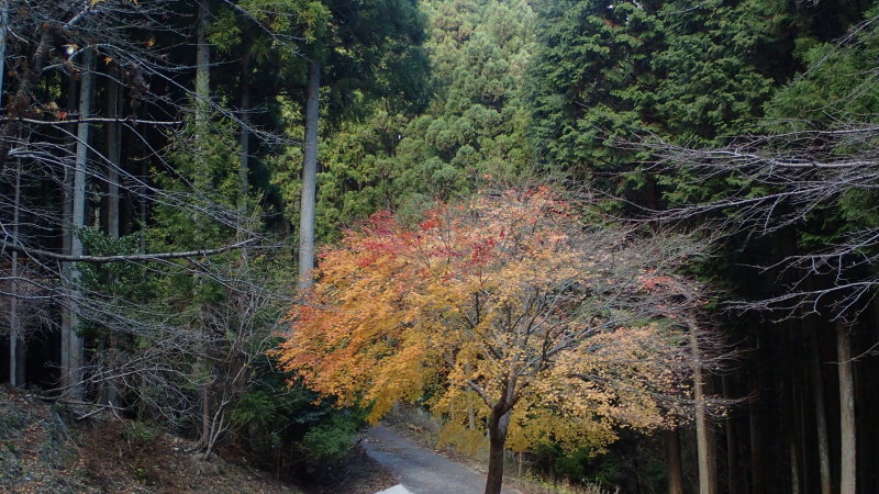 e0024081_10402114.jpg