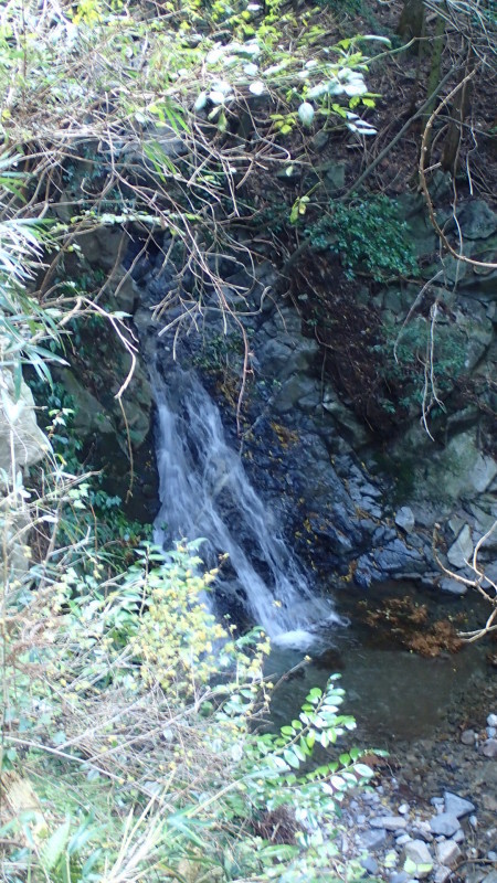 e0024081_10423363.jpg