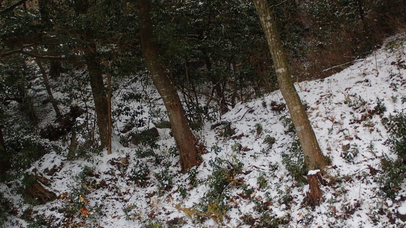 e0024081_11063708.jpg