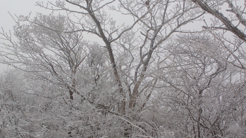 e0024081_11131973.jpg