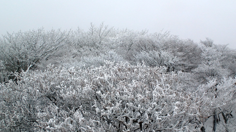 e0024081_11181320.jpg