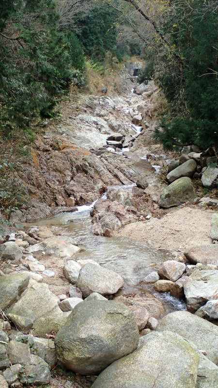 e0024081_11230151.jpg