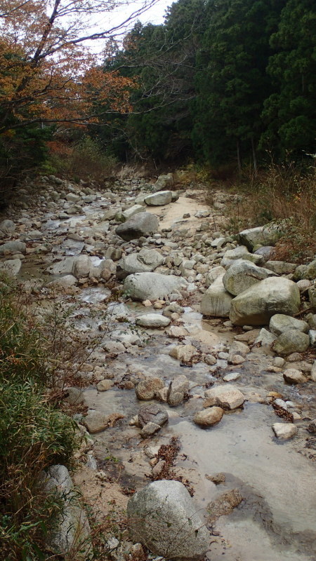 e0024081_11371504.jpg