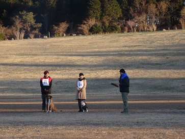 e0100584_201417.jpg