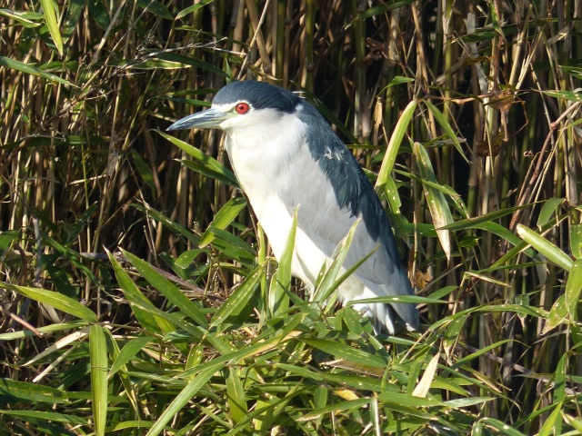 f0357487_20594165.jpg