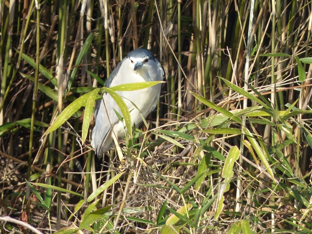 f0357487_21023100.jpg