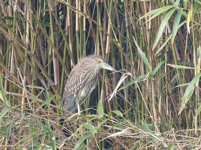 f0357487_2113559.jpg