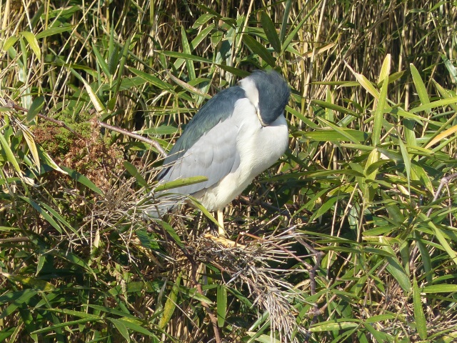 f0357487_211997.jpg