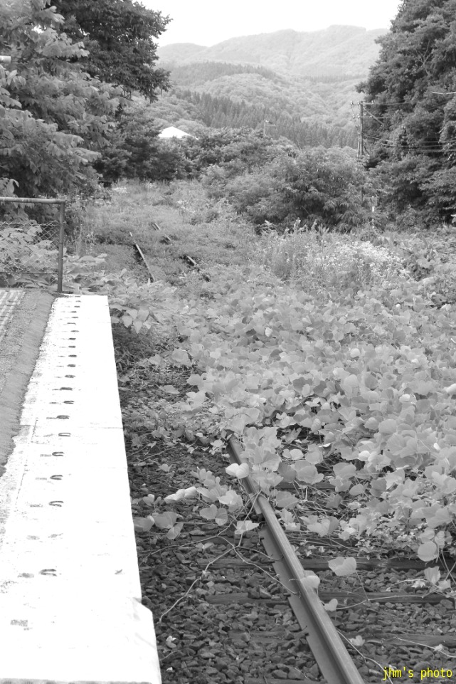 a0158797_2350182.jpg