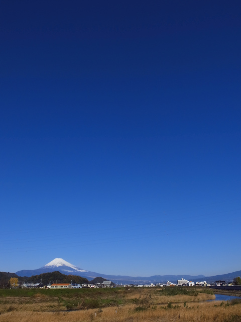 d0081997_19282726.jpg