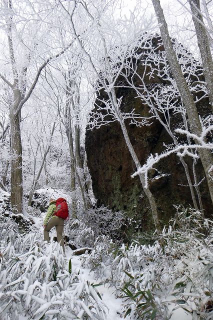 e0137200_20585635.jpg