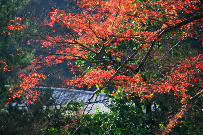 a0263109_19215658.jpg