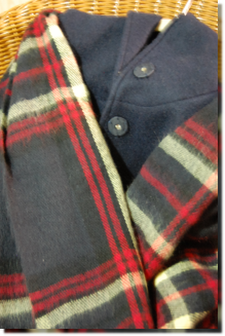 a0114514_21223277.png