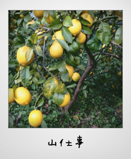 c0046316_22405131.png