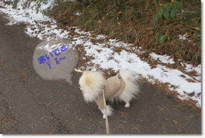 b0167519_21343189.gif