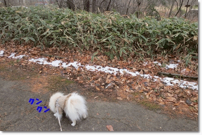 b0167519_2134498.gif