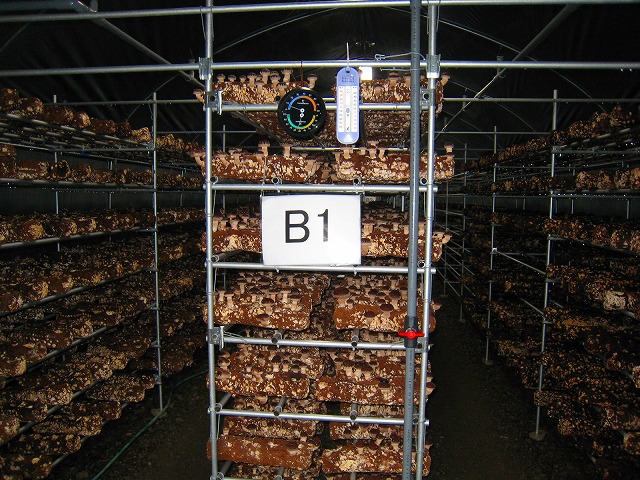 e0002820_1220113.jpg