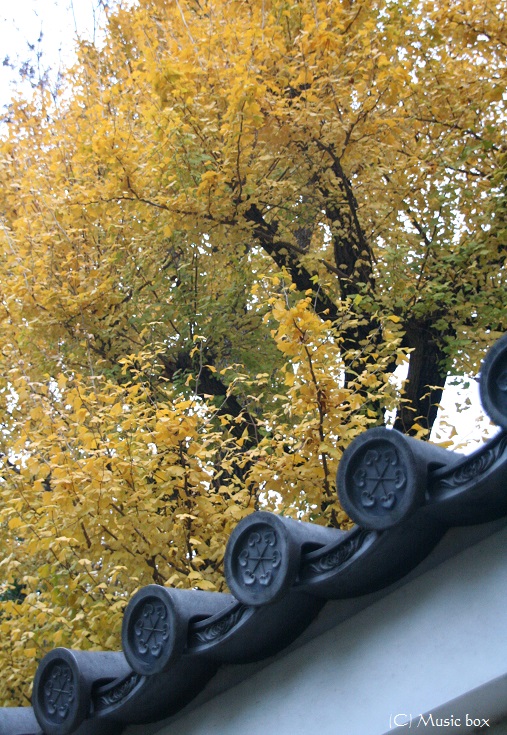 c0071221_10371486.jpg