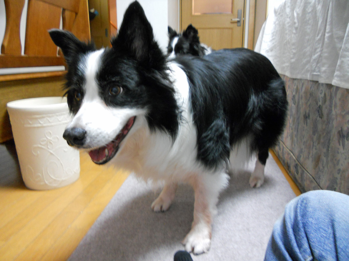 d0059230_841440.jpg