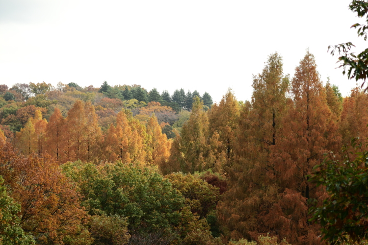 f0358531_2211949.jpg