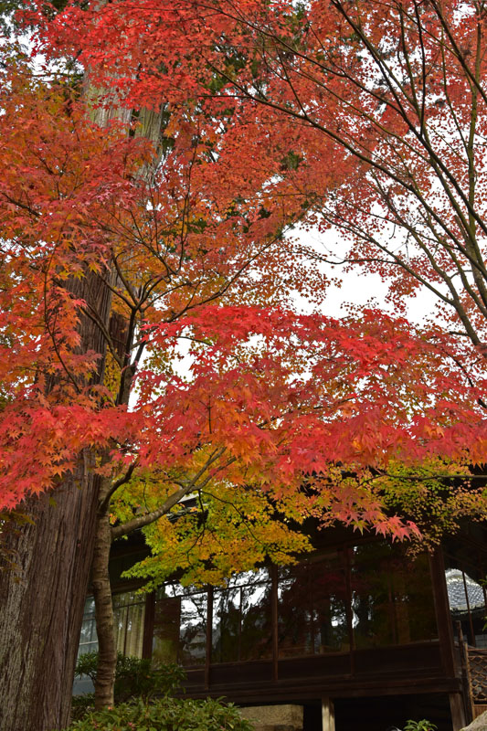b0042837_21342789.jpg