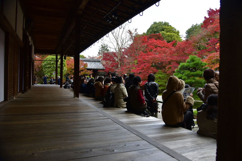 b0042837_2139558.jpg