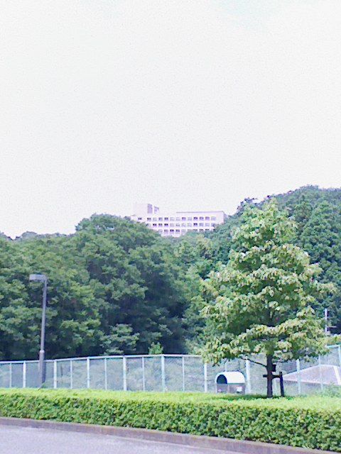 b0031140_2104399.jpg