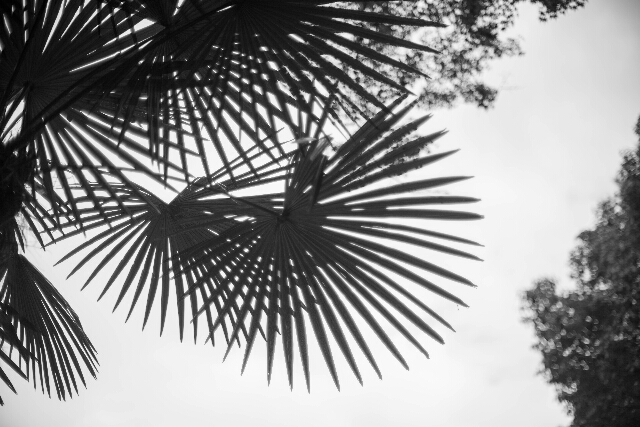 f0158043_20395687.jpg