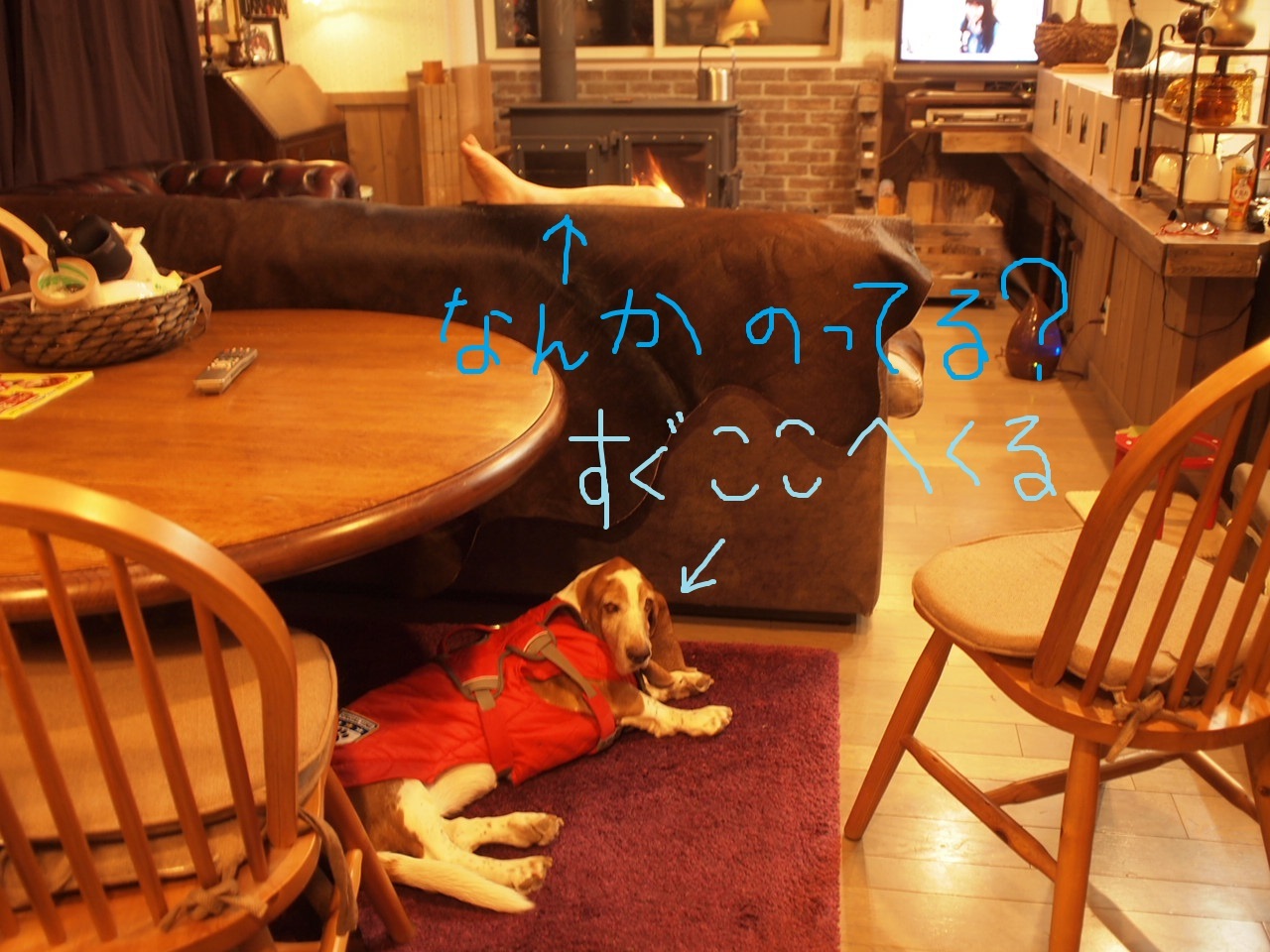 a0299945_07013919.jpg
