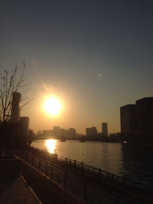 f0201745_255497.jpg