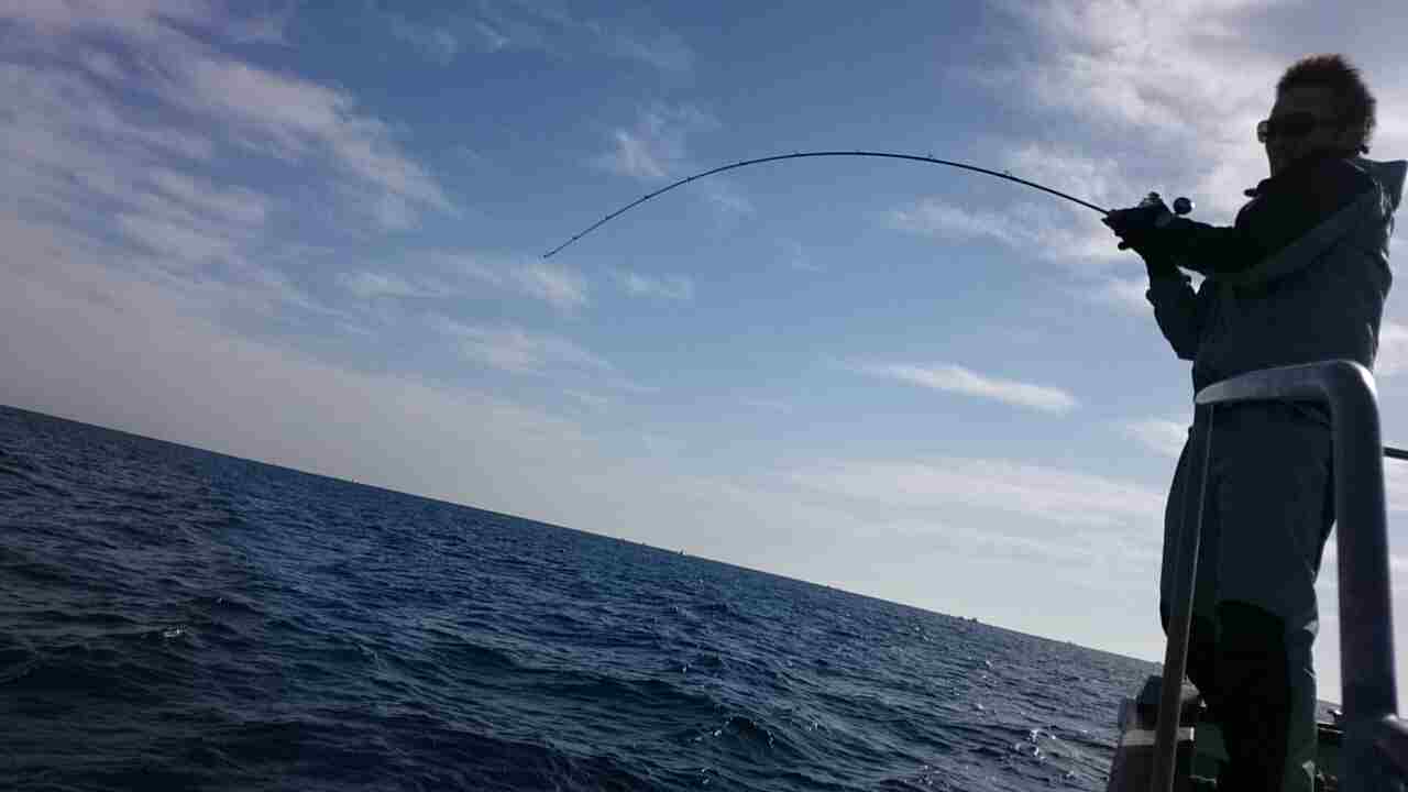a0248152_1836915.jpg