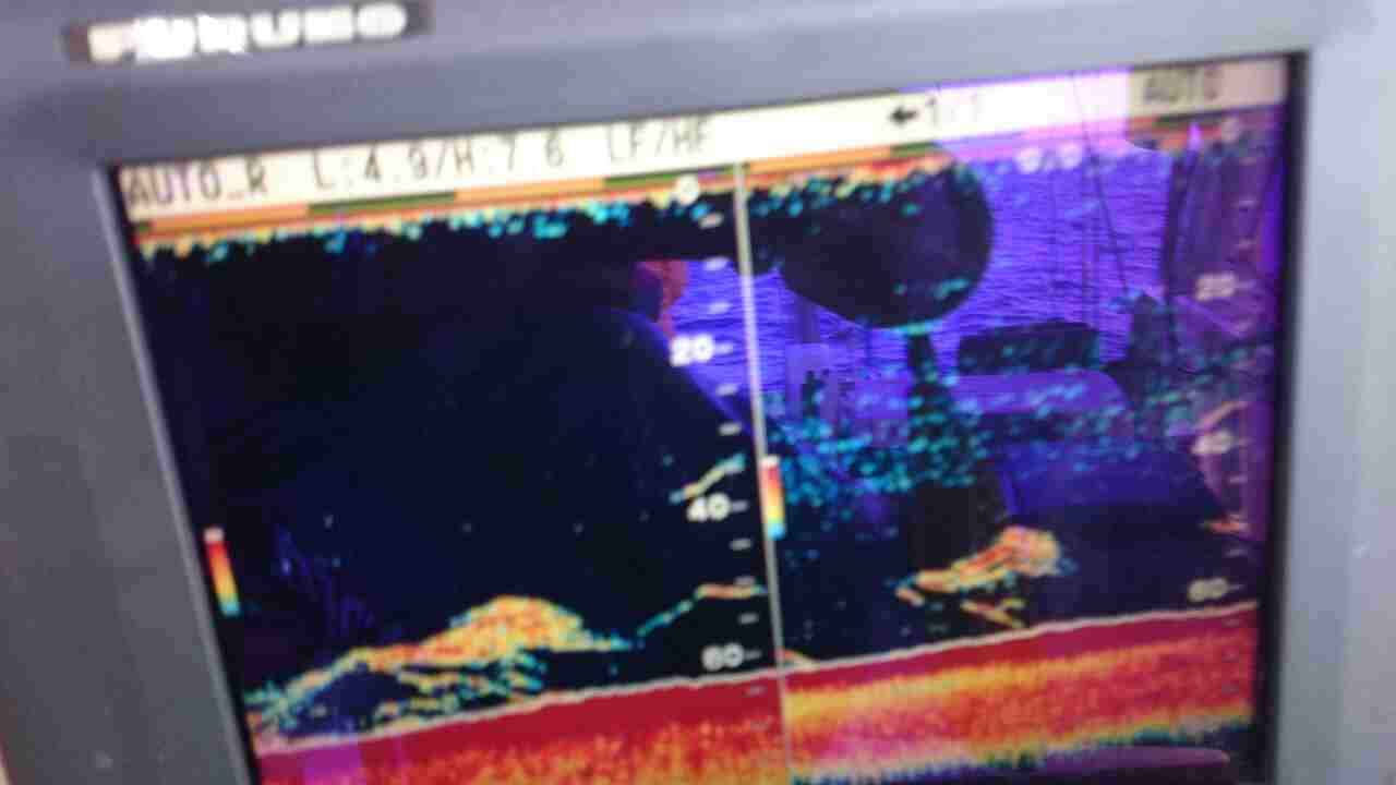 a0248152_1838679.jpg