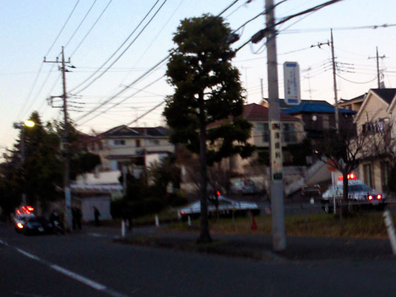 c0039153_16224970.jpg